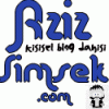 azizsimsek