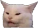 ISTANBULAJANS