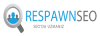 respawnseo