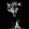 By AYhan