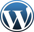 WordPress’de SEO Yapmak