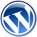 WordPress: Etiketlerde Keyword ve Description