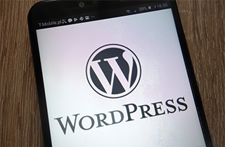 WordPress’in Vazgeçilmezi Haline Gelen 3 Eklenti