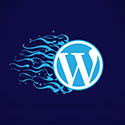 WordPress Sitelerinizi Işık Hızına Çıkartacak 10 Eklenti