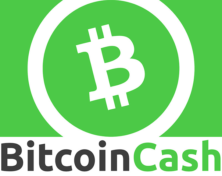 Bitcoin Cash Nedir? Bitcoin Cash Nasıl ve Nereden Alınır?