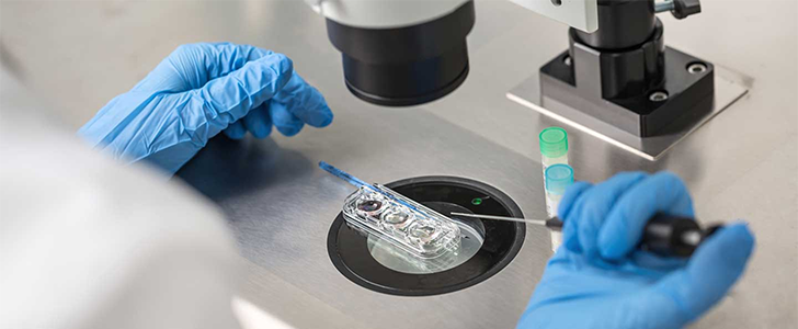 Cinsiyet Seçimi Nedir?