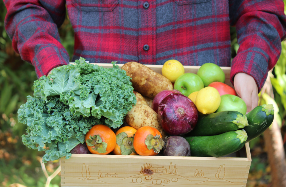 Slow Food Nedir? Slow Food Öncüsü ve Slow Food Türkiye