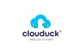 Clouduck Nedir? Clouduck Hosting ve Clouduck Domain