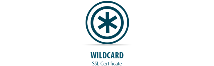 Wildcard Nedir?