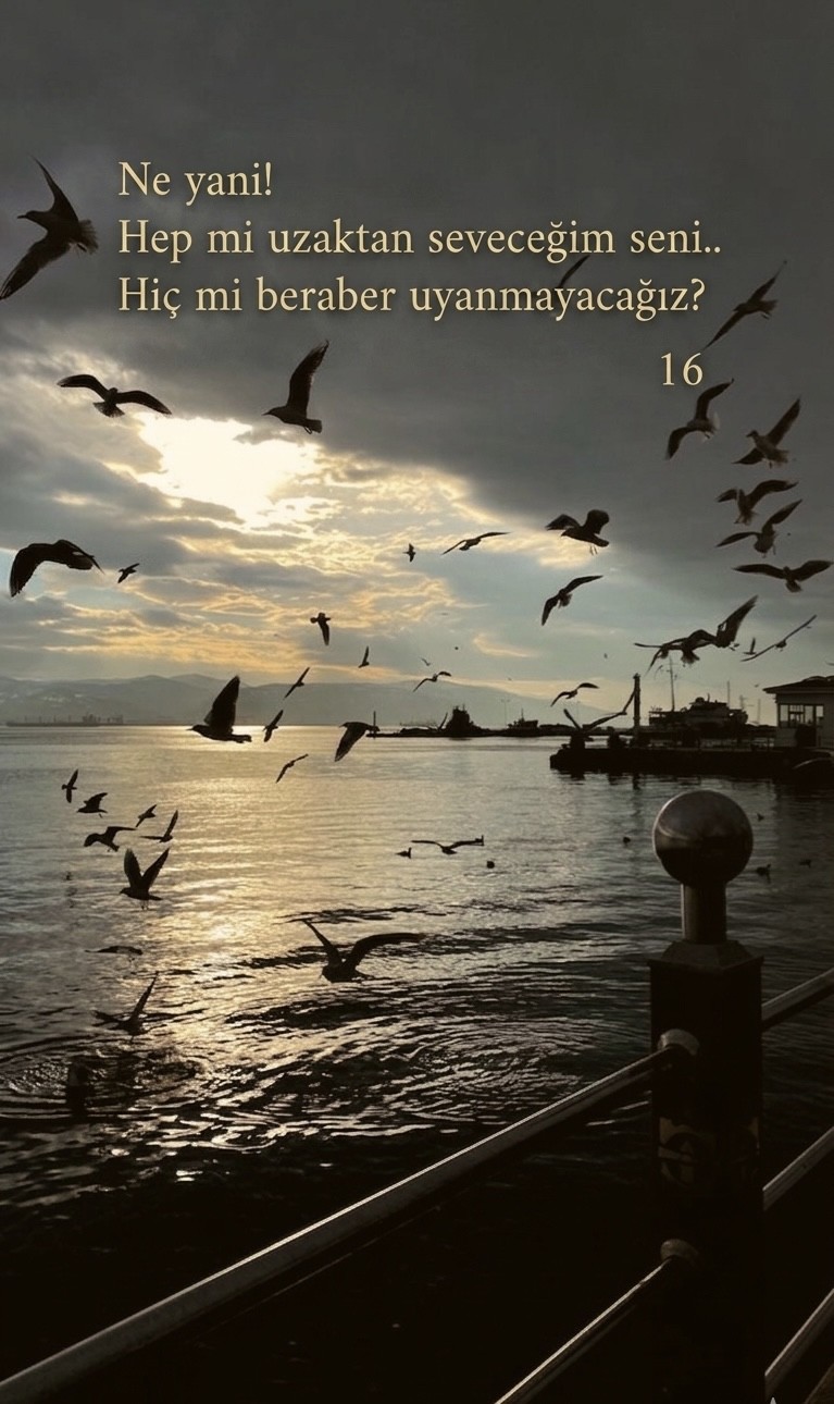 159457-69fa3bc567174.jpeg