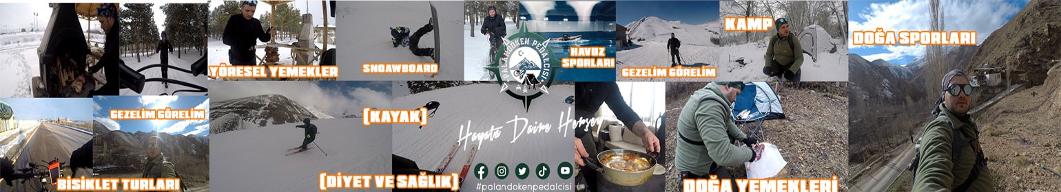 palandokenpedalcisi
